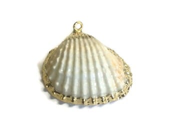 Shell pendant with gold dipped edge (12pcs)
