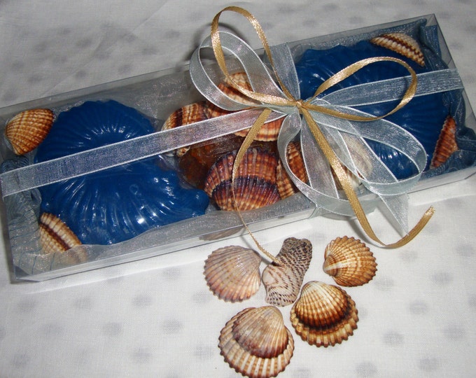Soap Shells and Natural Sea Shells, Beach Scented Soap, Minimal Style Gift, Exclusive Ocean Orange Glycerin Nautical Soaps, Fathers Day Gift