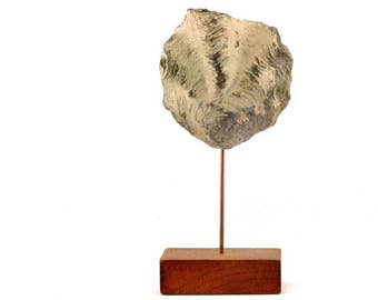 Minimalist sculpture, fossil oyster
