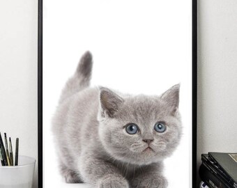 Cat print cute animals print wall art decor nursery print digital download poster 5 x7 8x10 12x16 grey white minimalist art poster