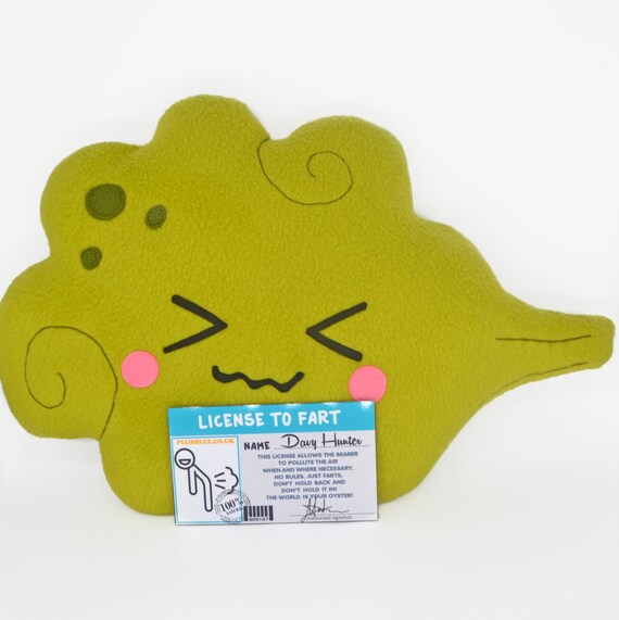 Fart pillow laminated License to Fart personalised with