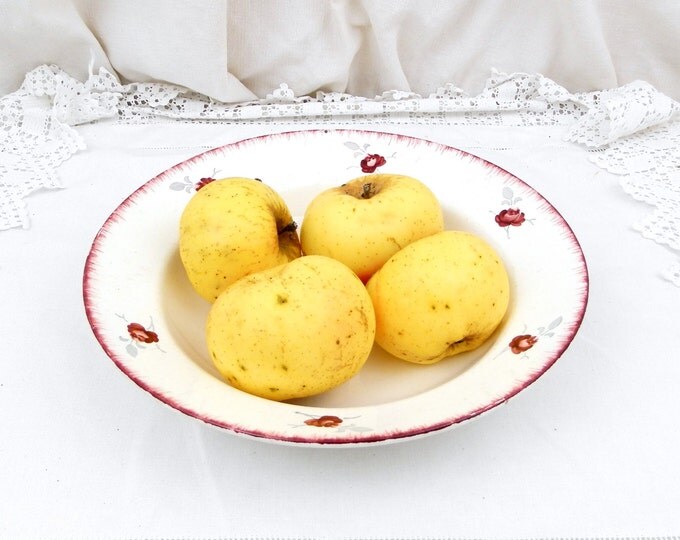 Large Antique French Hand Painted Rose Pattern Ceramic K & G Luneville Serving Bowl, Fruit Dish from France, Country Rustic Farmhouse Decor