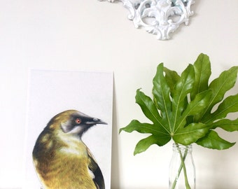 Bellbird Limited Edition Print