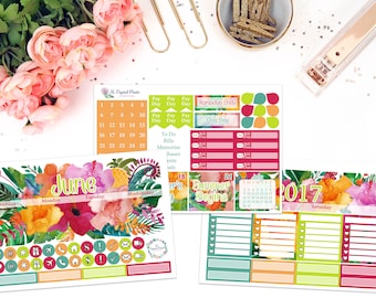 June Monthly Planner Kit || for use with ERIN CONDREN LIFEPLANNER™.