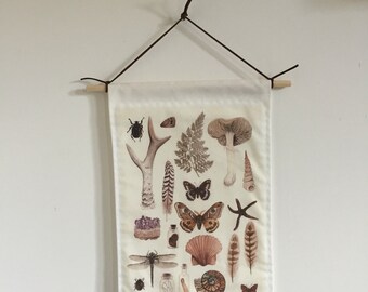 Natural History Collection wall hanging