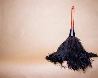 Free WW shipping! Plumeau en plumes d autruche (Ostrich Feather Duster)