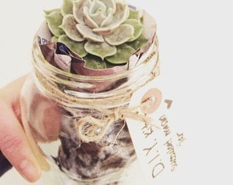 Terrarium Kit, Succulents, Mason Jar, Mason Jar Terrarium, Mason Jar Plant, DIY Terrarium Kit, Gift for Her