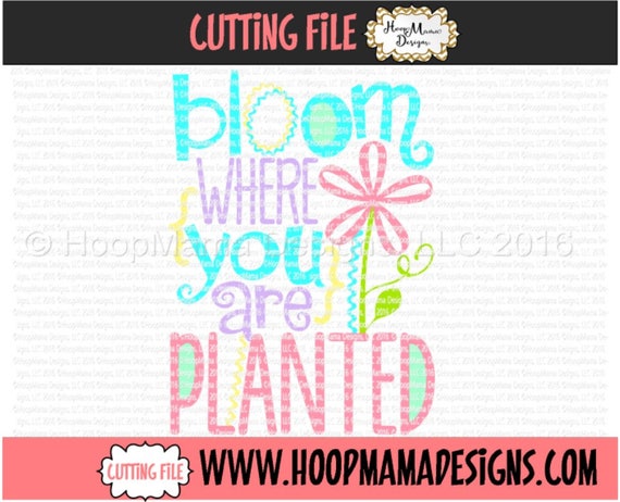 Download Bloom Where You Are Planted Spring Flower SVG DXF eps and ...