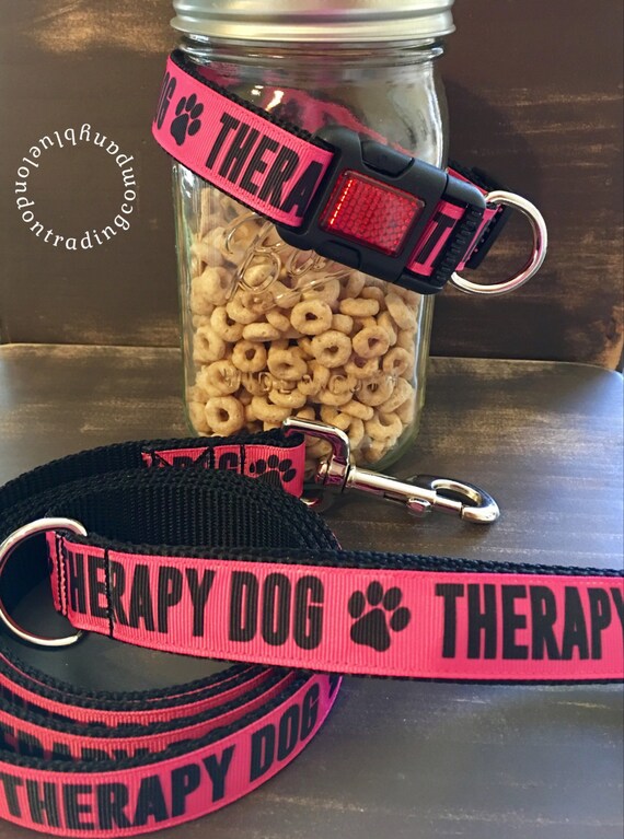 Therapy Dog Adjustable Dog Collar with Matching Leash