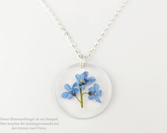 Blossom chain forget-me-not