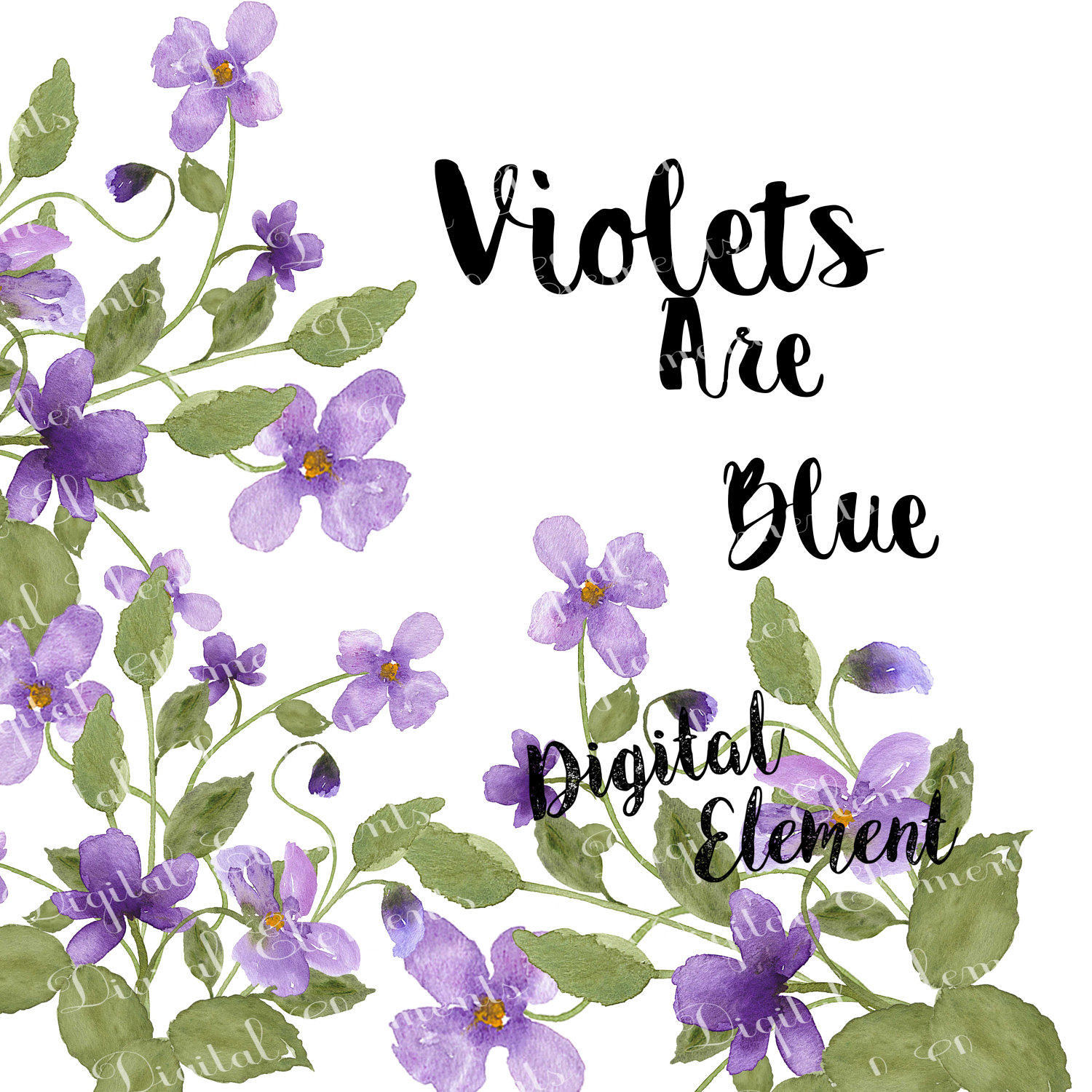 Watercolor Flower Clip-art Lilac Violet Floral Clip-art