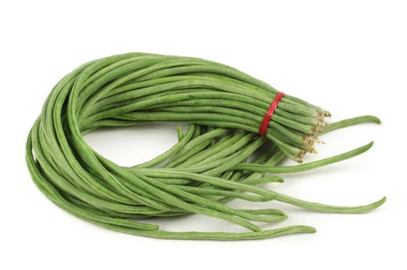 Longbean Asparagus Bean Kacang  Panjang  Akasanjaku