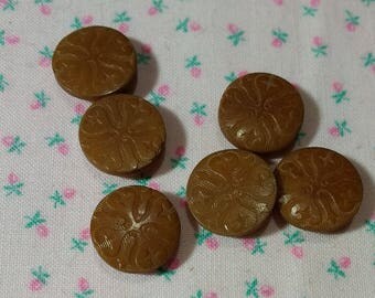 Vintage Vegetable Ivory Buttons