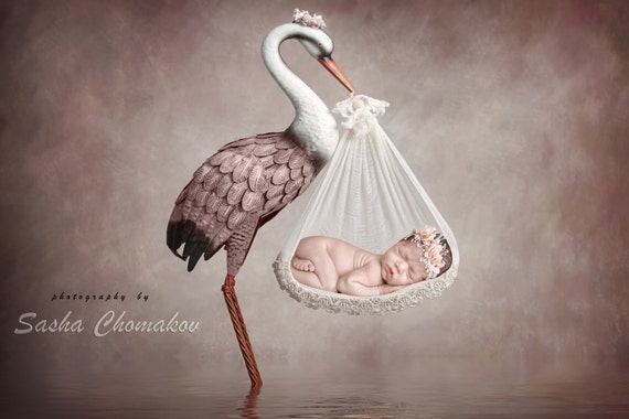 digital backdrop background newborn baby girl pink stork