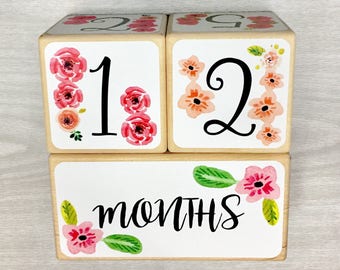 Baby Girl - Baby Age Blocks - Baby Milestone Blocks - Baby Photo Props - Monthly Baby Blocks - Baby Accessories - Baby Gift - Nursery Decor