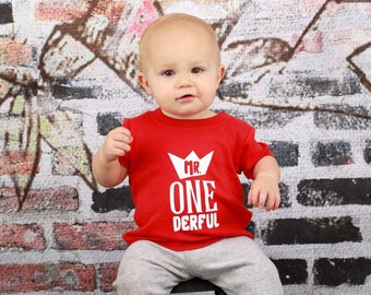 Boy first birthday, boy first birthday shirt, mr onederful shirt, onederful, onederful bodysuit, boy first birthday bodysuit, first birthday