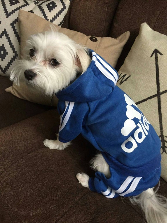 dog adidas hoodie