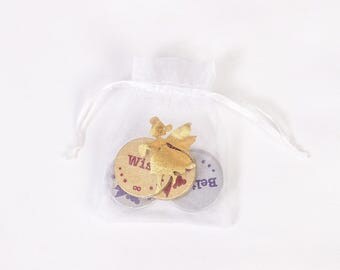 Tooth Fairy coins and pouch