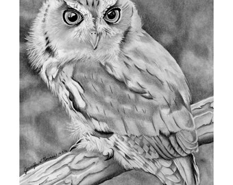 Owl Art, Owl Art Prints, Owl Wall Art, Owl Wall Decor, Owl Prints, Owl Wall Art Prints, Pencil Drawing, Eastern Screech Owl Art