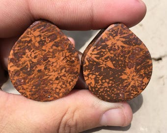 33mm starburst jasper/rhyolite teardrop plugs