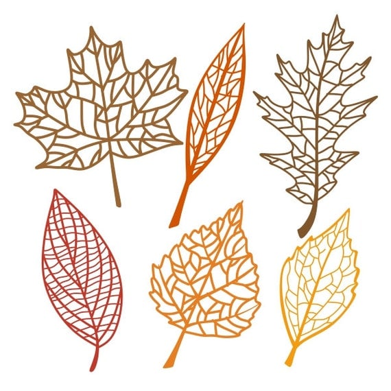 Download Fall Leaves Pack Cuttable Designs SVG DXF EPS Silhouette