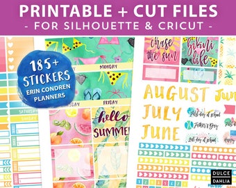 Monthly View Summer Fun Printable Planner Stickers, Colorful July Erin Condren Stickers, Instant Download, Cut Files for Silhouette & Cricut