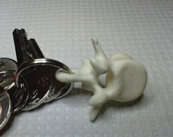 Lumbar vertebra keyring