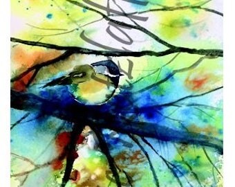 Black Capped Chickadee
