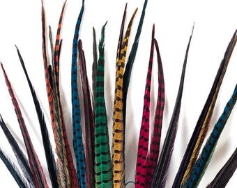 Dyed Pheasant Feathers, Ringneck pheasant Feathers, 12 pack