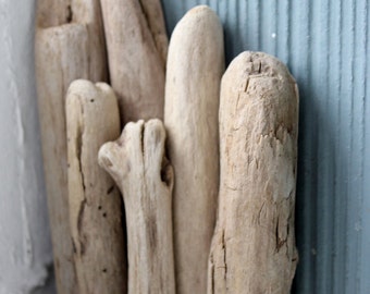 Chubby Driftwood Pieces DIY Beach Wedding Decor and Craft Supply CD6