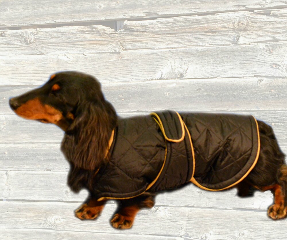 Winter Dog Coat Custom made with quilted nylon and tummy