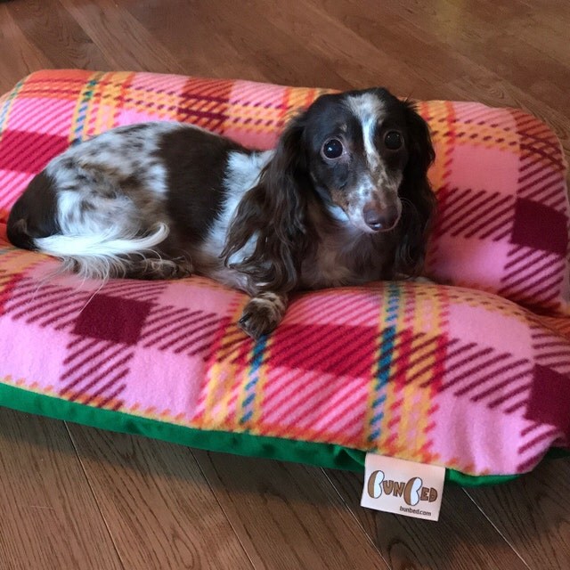 Bunbeds Dachshund Beds Small Dog Beds by TheOminousCloud