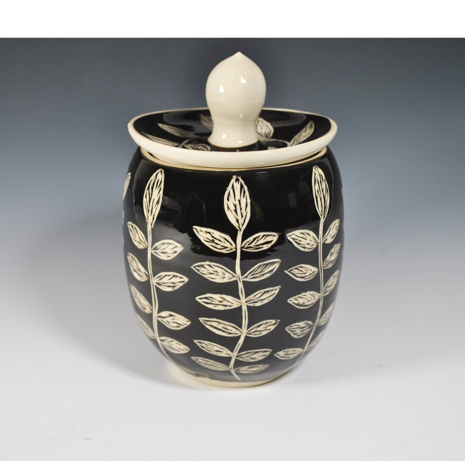 Pottery Jar with lid Ceramic Canister Cookie Jar