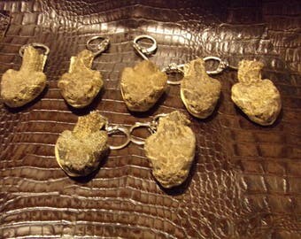 1 real animal taxidermy rattle snake mount reptile head part key chain skin hide skull