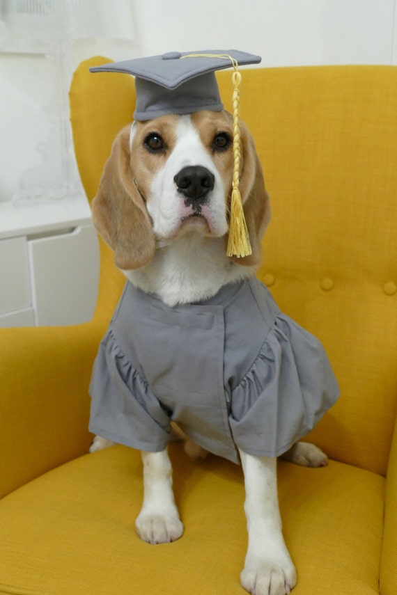 Pet Graduation Cap and Gown Dog Cap and Dog Graduation Gown