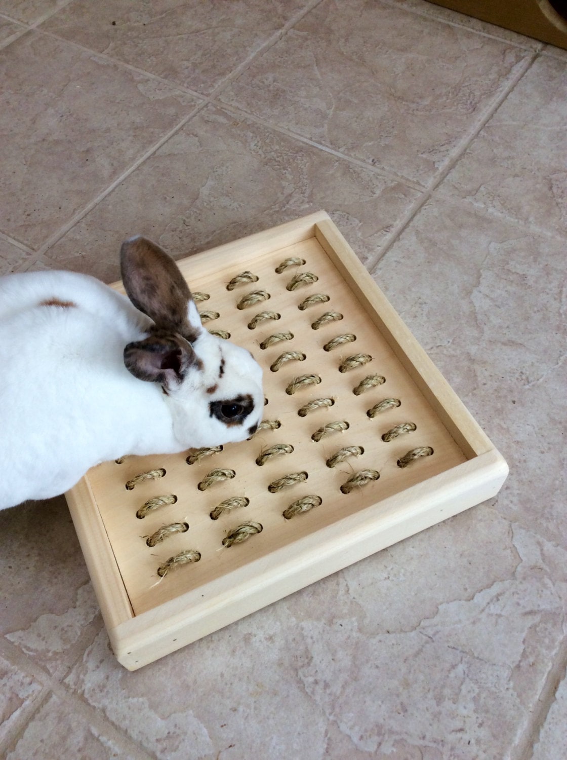 Bunny Rabbit Sisal Digging Box