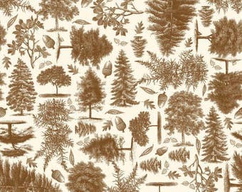 C4011-Brown Trail Mix by Riley Blake Designs 3 yards