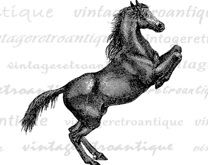 Digital Prancing Horse Printable Download Image Graphic Illustration Jpg Png Eps HQ 300dpi No.2309