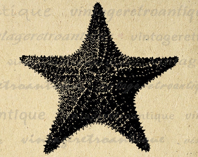 Starfish Printable Digital Image Illustration Graphic Ocean Sea Download Antique Clip Art Jpg Png Eps HQ 300dpi No.3251