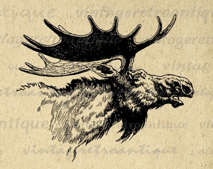 Antique Moose Illustration Digital Printable Graphic Moose Image Download Vintage Clip Art Jpg Png Eps HQ 300dpi No.3585