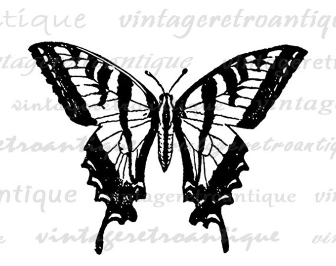 Vintage Butterfly Digital Image Graphic Insect Download Printable Antique Clip Art for Transfers Making Prints etc HQ 300dpi No.4107