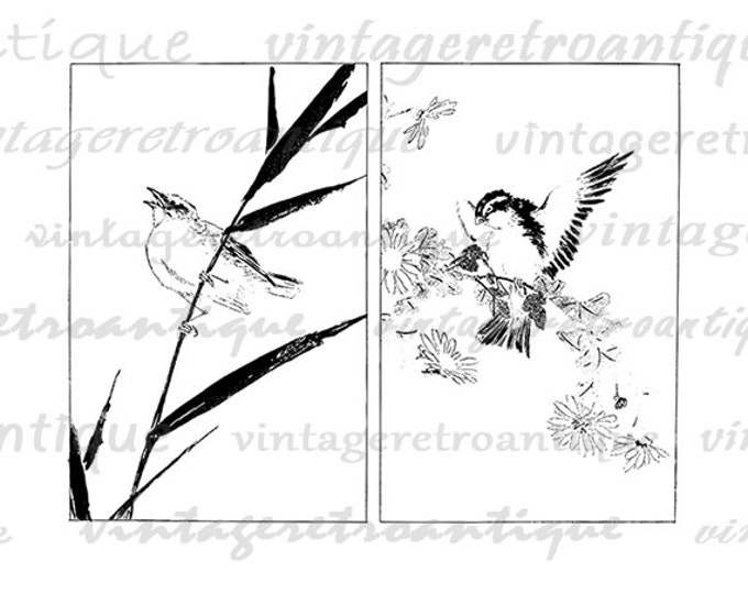 Digital Printable Two Japanese Bird s Download Image Color Illustration Graphic Antique Clip Art HQ 300dpi No.2224