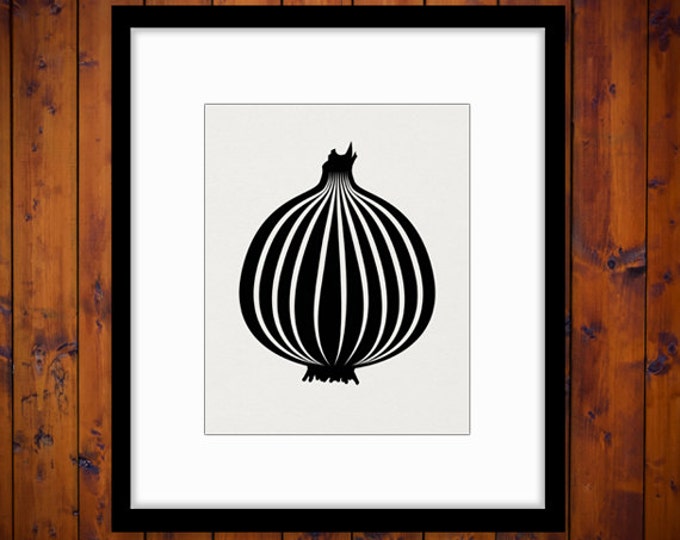 Onion Digital Graphic Download Food Vegetable Printable Onion Image Vintage Clip Art Jpg Png Eps HQ 300dpi No.4362