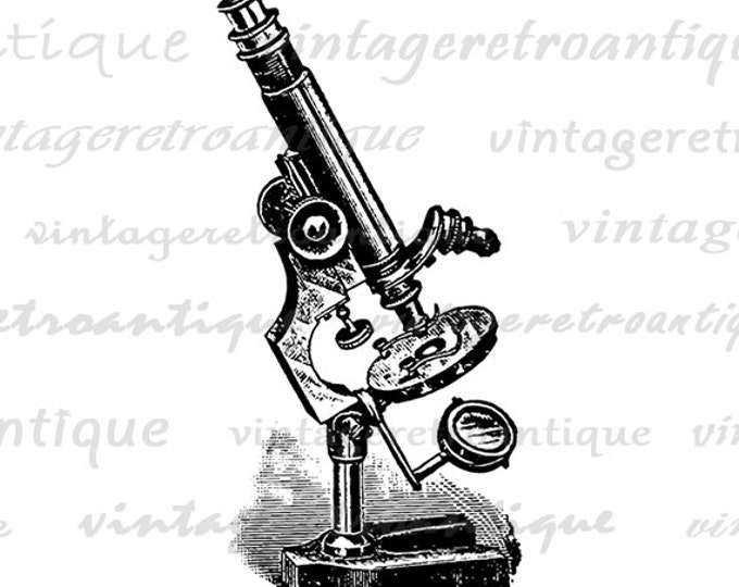 Digital Printable Microscope Image Science Graphic Illustration Download Antique Clip Art Jpg Png Eps HQ 300dpi No.1326