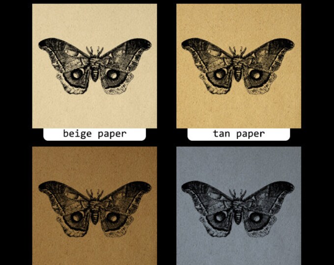 Digital Graphic Moth Download Butterfly Printable Image Vintage Clip Art Jpg Png Eps HQ 300dpi No.3134