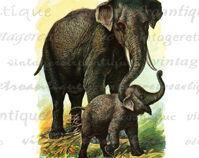 Digital Image Elephants Printable Classic Color Illustration Graphic Download Vintage Clip Art HQ 300dpi No.2044