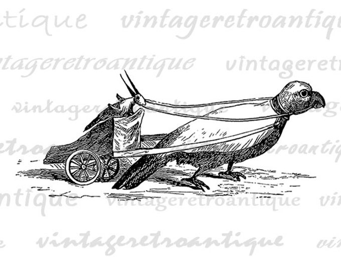 Grasshopper Driving Bird Chariot Carriage Printable Image Digital Graphic Download Antique Clip Art for Transfers etc HQ 300dpi No.2760