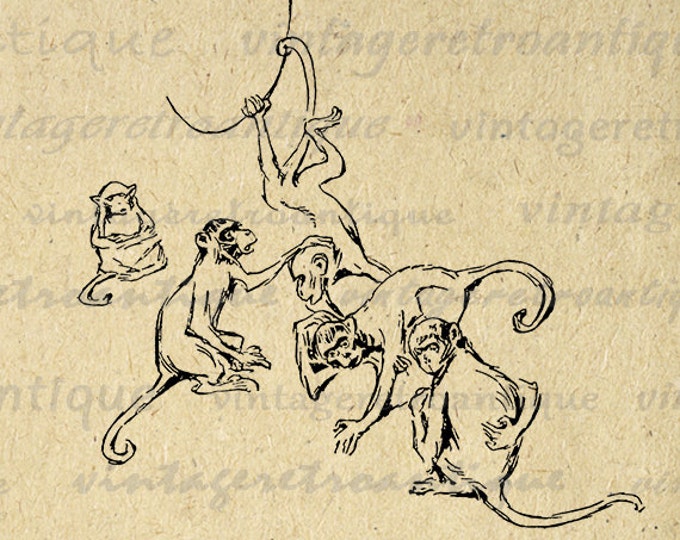 Monkeys Digital Image Download Printable Graphic Vintage Clip Art Jpg Png Eps HQ No.2878