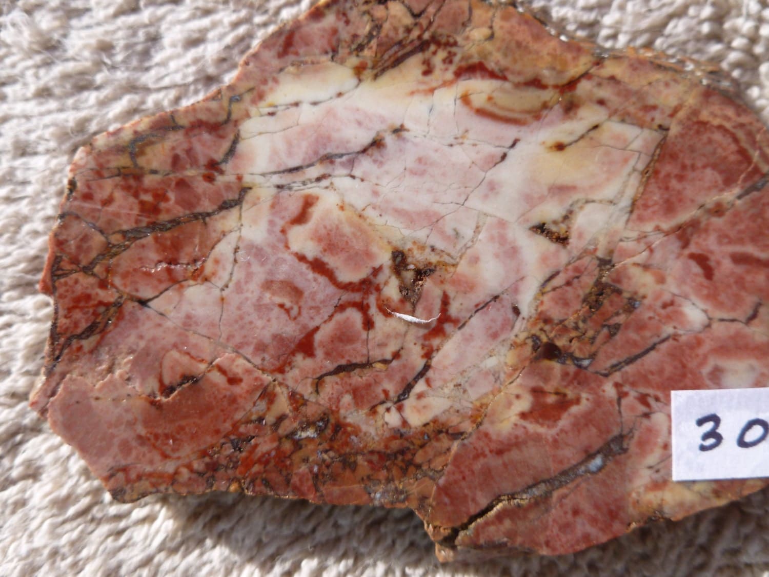 Jasper Slab~Plum Colored Jasper Rock~Lapidary Supply~Mohave Desert ...