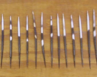 35 African Porcupine Quills